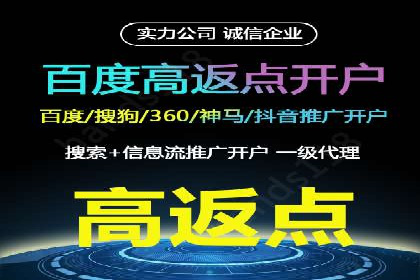 成功运用百度竞价代理，实现品牌快速崛起